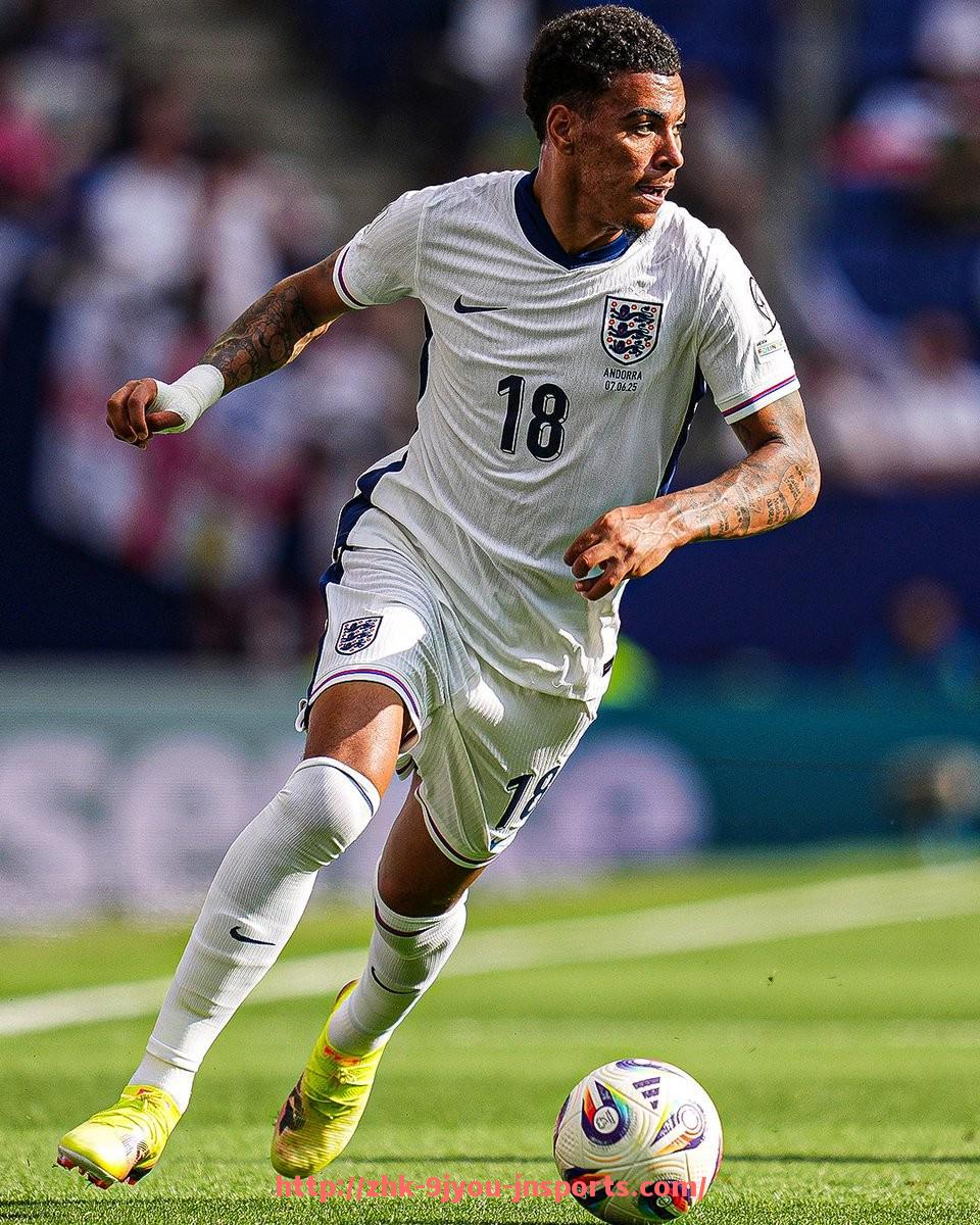 J9九游会登录入口-巴西世俱杯球迷文化观察及地域足球传统影响